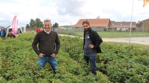 Les instituts techniques belges sont plus avancés dans la connaissance de l’alternaria que leurs collègues français. Ici Olivier Mahieu et Géry Carbonnelle, du Carah. © B. CAILLIEZ